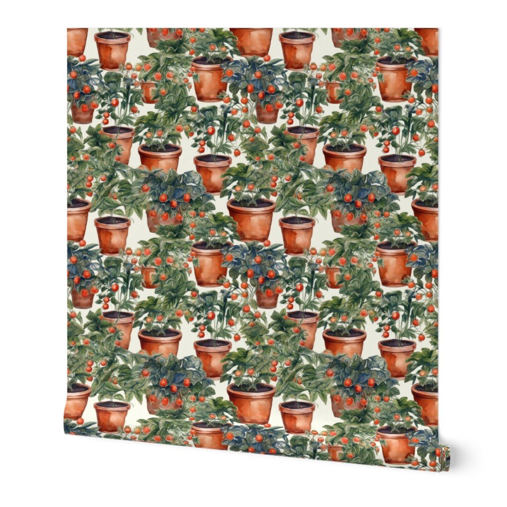 Potted Tomato Plants Watercolor Wallpaper tomato plants wallpaper