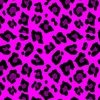 Jumbo Leopard Spots Animal Repeat Pattern Print in Hot Pink and Black