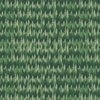 Small Endless Evergreen Forest with Fir Trees in Shades of Green