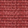 Small Endless Evergreen Forest with Fir Trees in Shades of Red