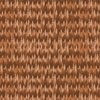 Endless Evergreen Forest with Fir Trees in Shades of Brown