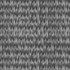 Small Endless Evergreen Forest with Fir Trees in Shades of grey