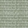 Small Endless Evergreen Forest with Fir Trees in Shades of Sage Green