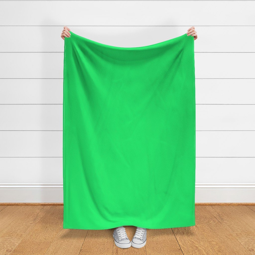 Lime Mojito Green Florida Colors of the Sunshine State Fabric green color fabric