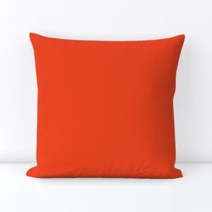 Citrus Orange Florida Colors of the Sunshine State Home Styling Collection Decor Collection florida state throw pillow design