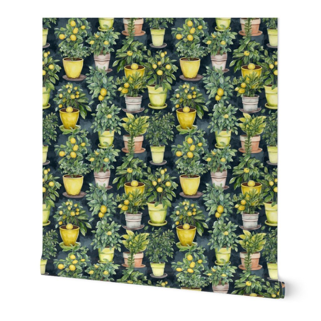 Potted Lemon Trees Watercolor on Dark Green Wallpaper watercolor trees wallpaper
