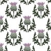 Large Scottish Thistle Flower of Scotland on White