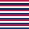 USA Flag Red White and Blue Alternating 1 Inch Horizontal Stripes