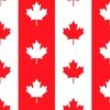 Canadian Flag Colors Red White and Maple Leaves Jumbo 6 Inch Vertical