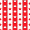 Canadian Flag Colors Red White and Maple Leaves Large 3 Inch Vertical