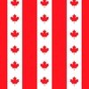 Canadian Flag Colors Red White and Maple Leaves Large 3 Inch Vertical