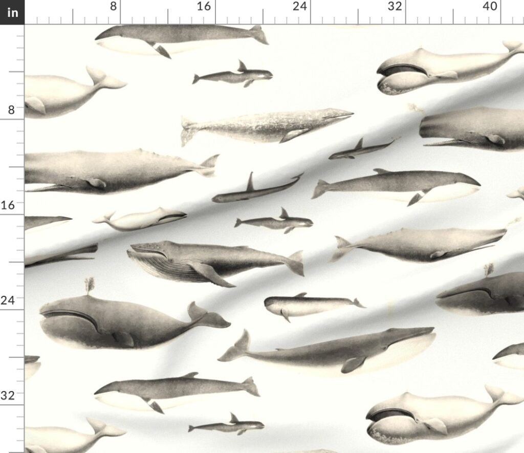 Whales Species Cetacea Mammals in Vintage Sepia on White Fabric design