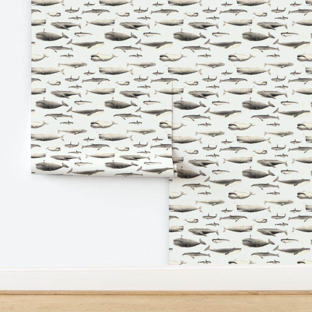 Whales Species Cetacea Mammals in Vintage Sepia on White Wallpaper design