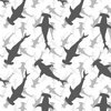 Hammerhead Sharks in Grey Silhouette Circling on White