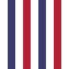 2 inch Flag Red White and Blue Alternating V Stripes