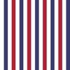 1 inch Flag Red White and Blue Alternating V Stripes