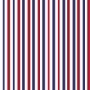 1/2 inch Flag Red White and Blue Alternating V Stripes