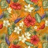 Papaya Orange and Red Tropical Rainforest Birds of Paradise