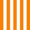 Florida Orange and White Vertical Stripes