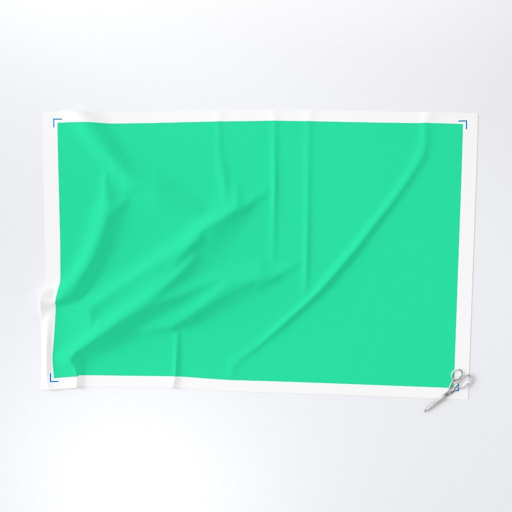 SeaMint Florida Colors of the Sunshine State Fabric green fabric