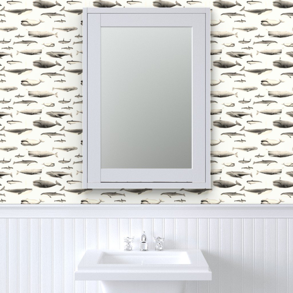 Whales Species Cetacea Mammals in Vintage Sepia on White Wallpaper baleen wallpaper