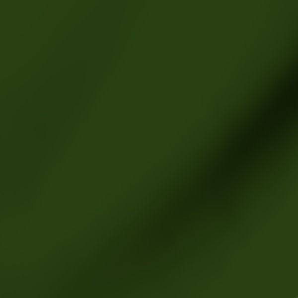 Lichen Green Solid Trim Color French Provincial Spring Home Styling Collection Decor Collection dark green fabric design