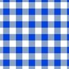 Blue and White Buffalo Check Gingham Plaid