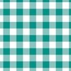 Teal and White Buffalo Check Gingham Plaid