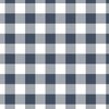 Storm Blue and Cloud White Check Gingham Plaid