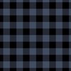 Night Black and Storm Blue Buffalo Check Gingham