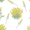Yellow Forsythia Floral Sprig on White