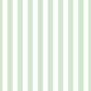 One Inch Beach Hut Stripes in Springtime Mint and White