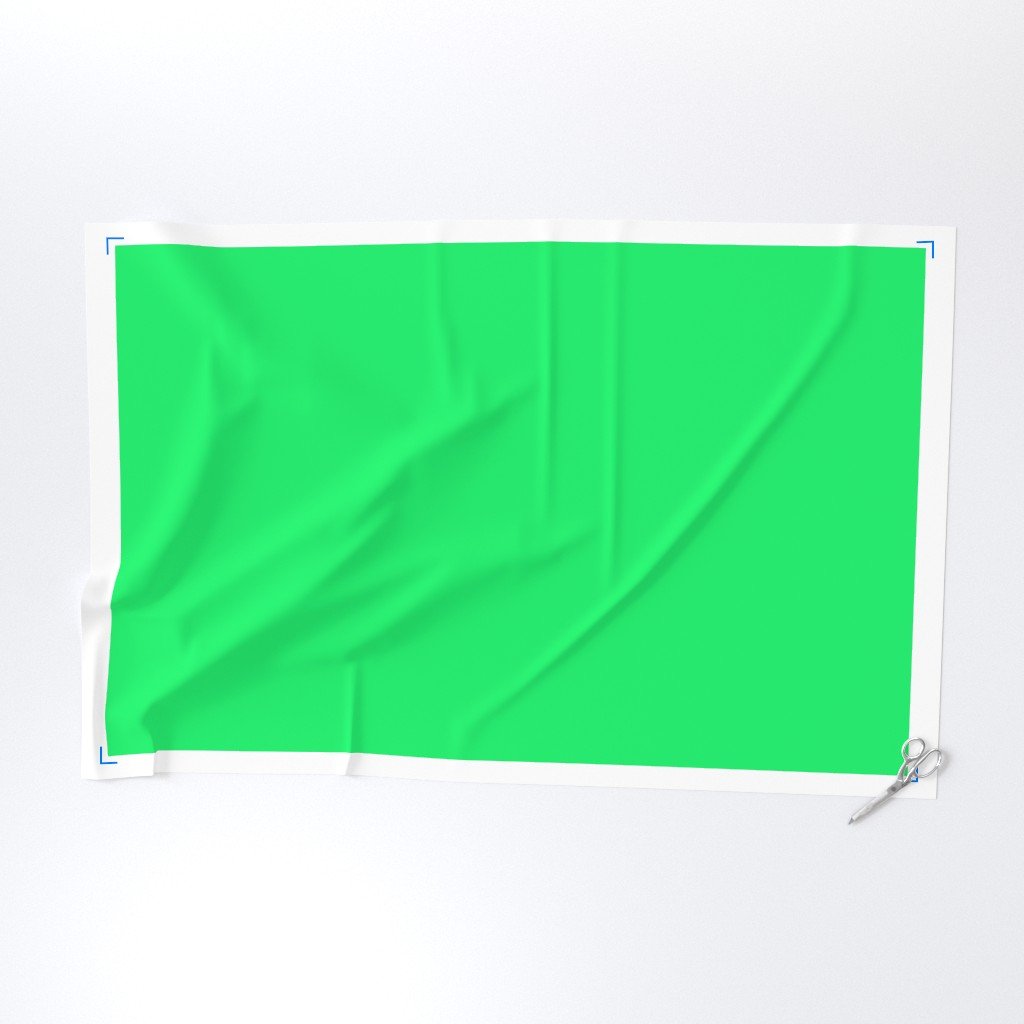 Lime Mojito Green Florida Colors of the Sunshine State Fabric lime green fabric