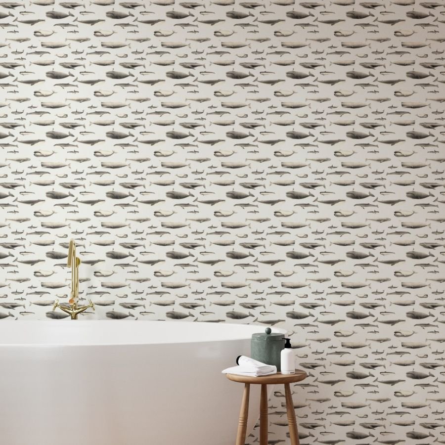 Whales Species Cetacea Mammals in Vintage Sepia on White Wallpaper cetacea wallpaper