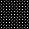 1/2 inch White Polkadots on Black