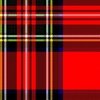 Royal Stewart Tartan Clan Plaid Interior Collection Design Collection Jumbo Bright Red and Green Stewart Christmas Tartan colorway design