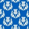 Large White Thistle Flower of Scotland on Scottish Flag Blue