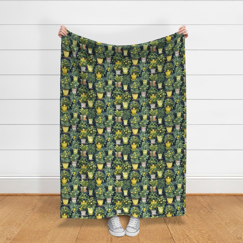 Potted Lemon Trees Watercolor on Dark Green Fabric house plants fabric