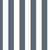 Ice Blue and White Vertical 2 inch French Provincial Cabana Stripe