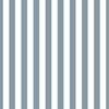Winter Blue and White Vertical 1 inch French Provincial Stripe