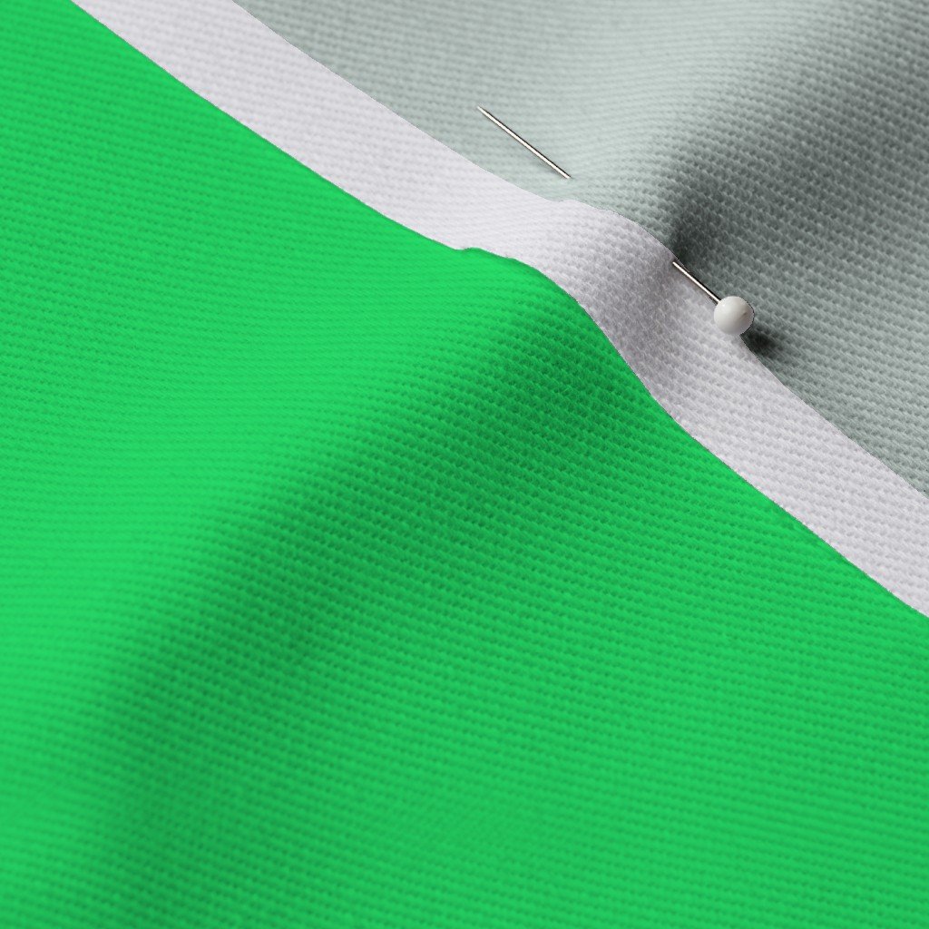 Lime Mojito Green Florida Colors of the Sunshine State Fabric lime green drink fabric