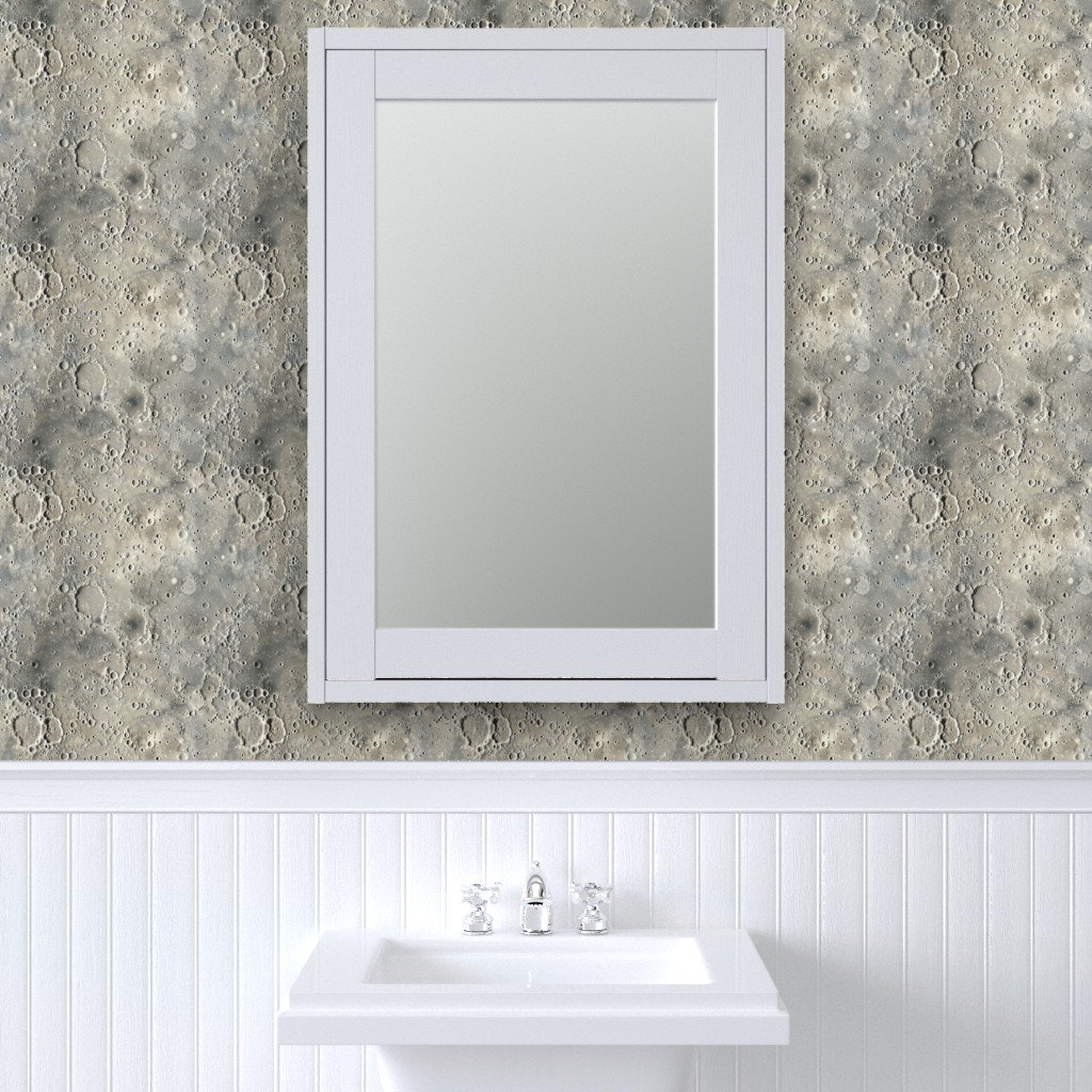 Natural Grey Pocked Surface of the Moon Wallpaper grey moon surface wallpaper