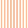 One Inch Stripe in Peach Fuzz Color of the Year 2024 and White