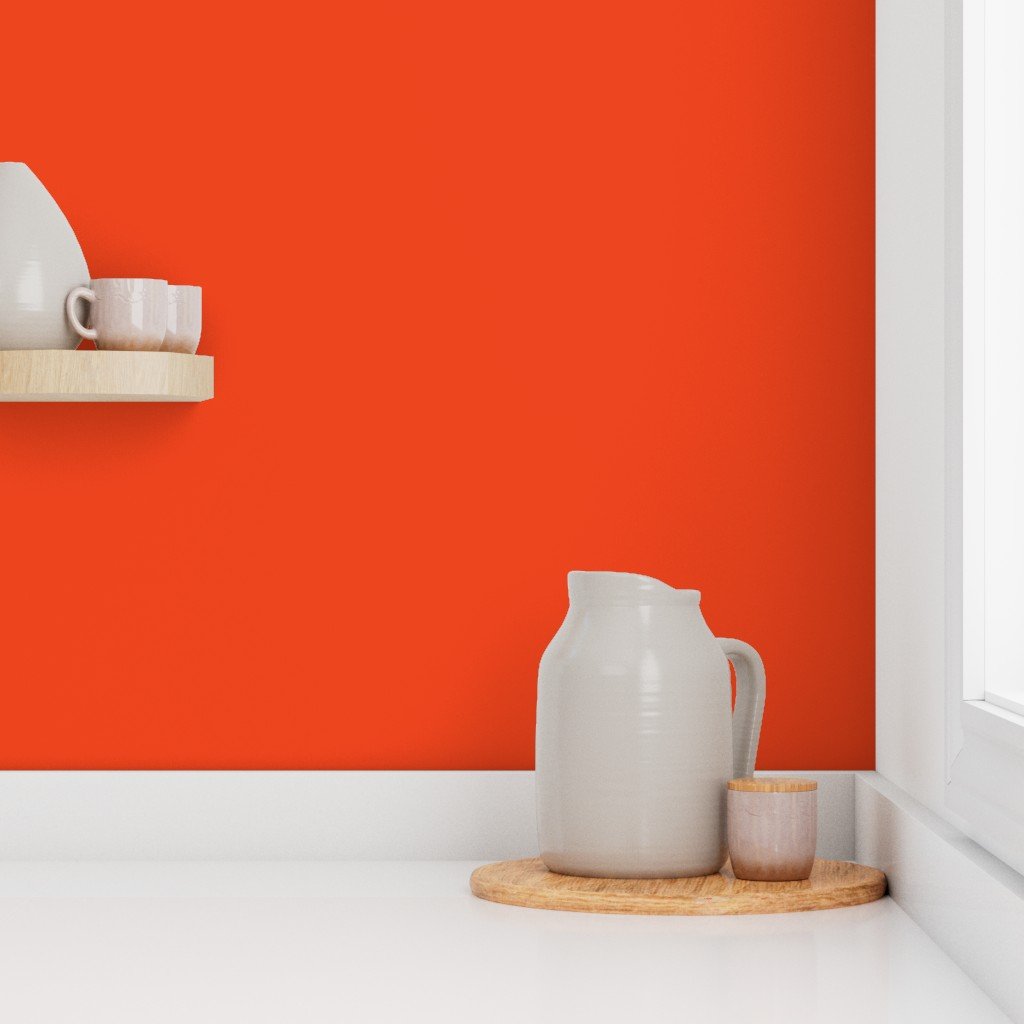 Citrus Orange Florida Colors of the Sunshine State Home Styling Collection Decor Collection florida state wallpaper