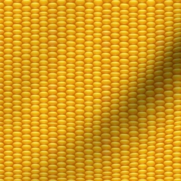 Golden Kernels of Harvest Corn in Yellow Gold for Thanksgiving Interior Collection Home Decor Collection corn cob fabric design