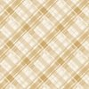 Faded Madras Diagonal Plaid in Beige