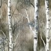 Endless Silver Birch Tree Dreamscape in Misty Brown and Blue