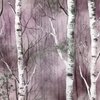 Endless Silver Birch Tree Dreamscape in Misty Rose and Moss Green