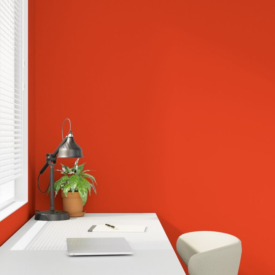 Citrus Orange Florida Colors of the Sunshine State Home Styling Collection Decor Collection orange color wallpaper