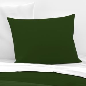 Lichen Green Solid Trim Color French Provincial Spring Home Styling Collection Decor Collection solid color pillow sham design